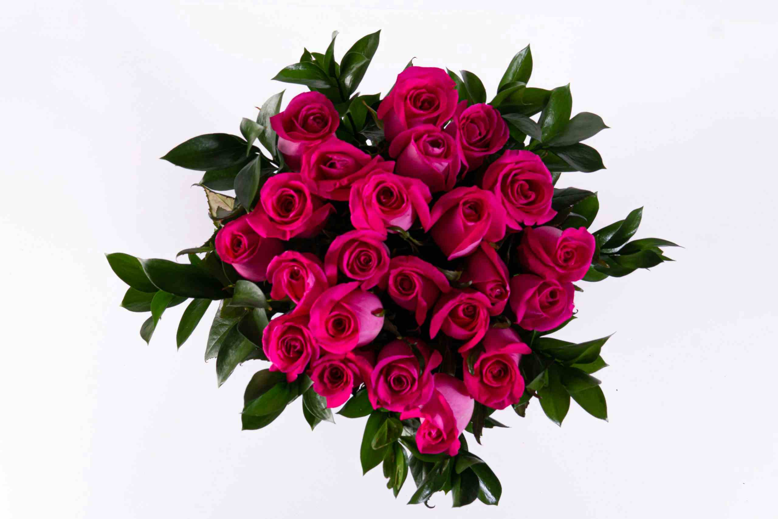 Arreglo floral de 24 rosas fucsia