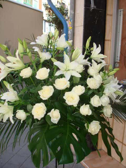 Jadinera rosas blancas
