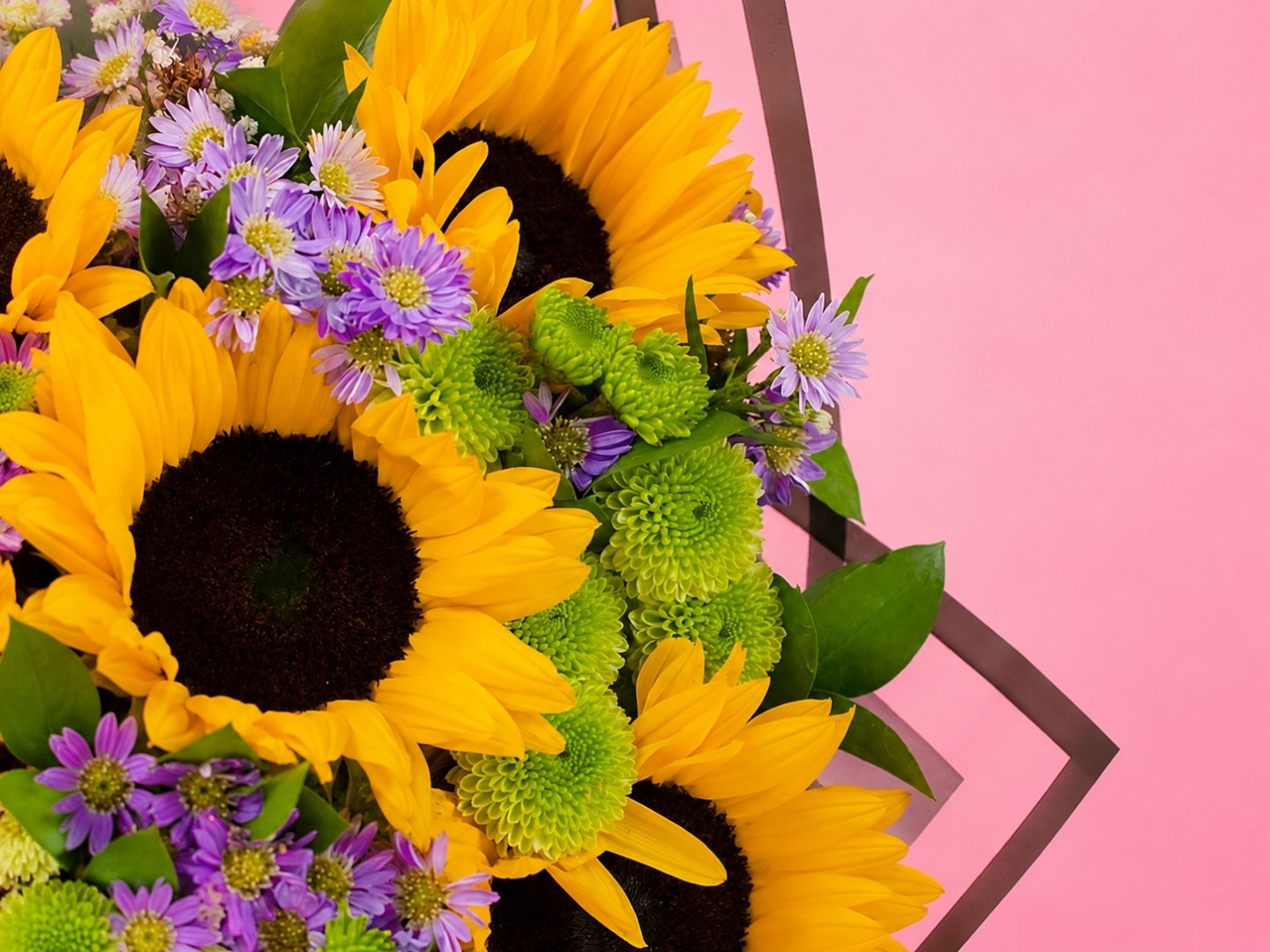 Ramo Girasoles, Montecasino y Yoko
