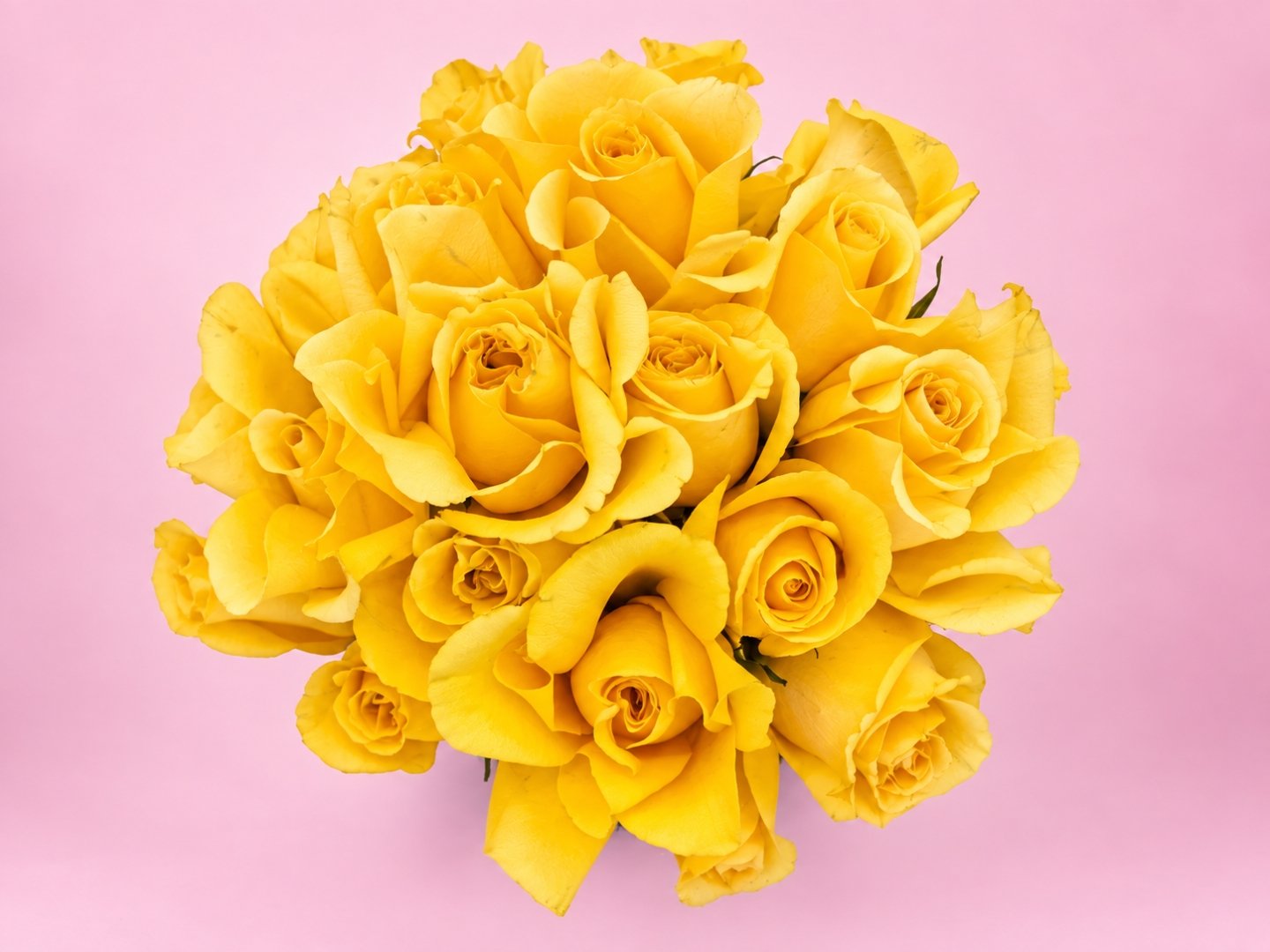 Box Negro con 24 Rosas Amarillas