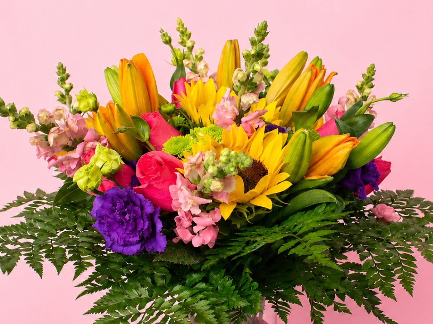 Lazo de Primavera