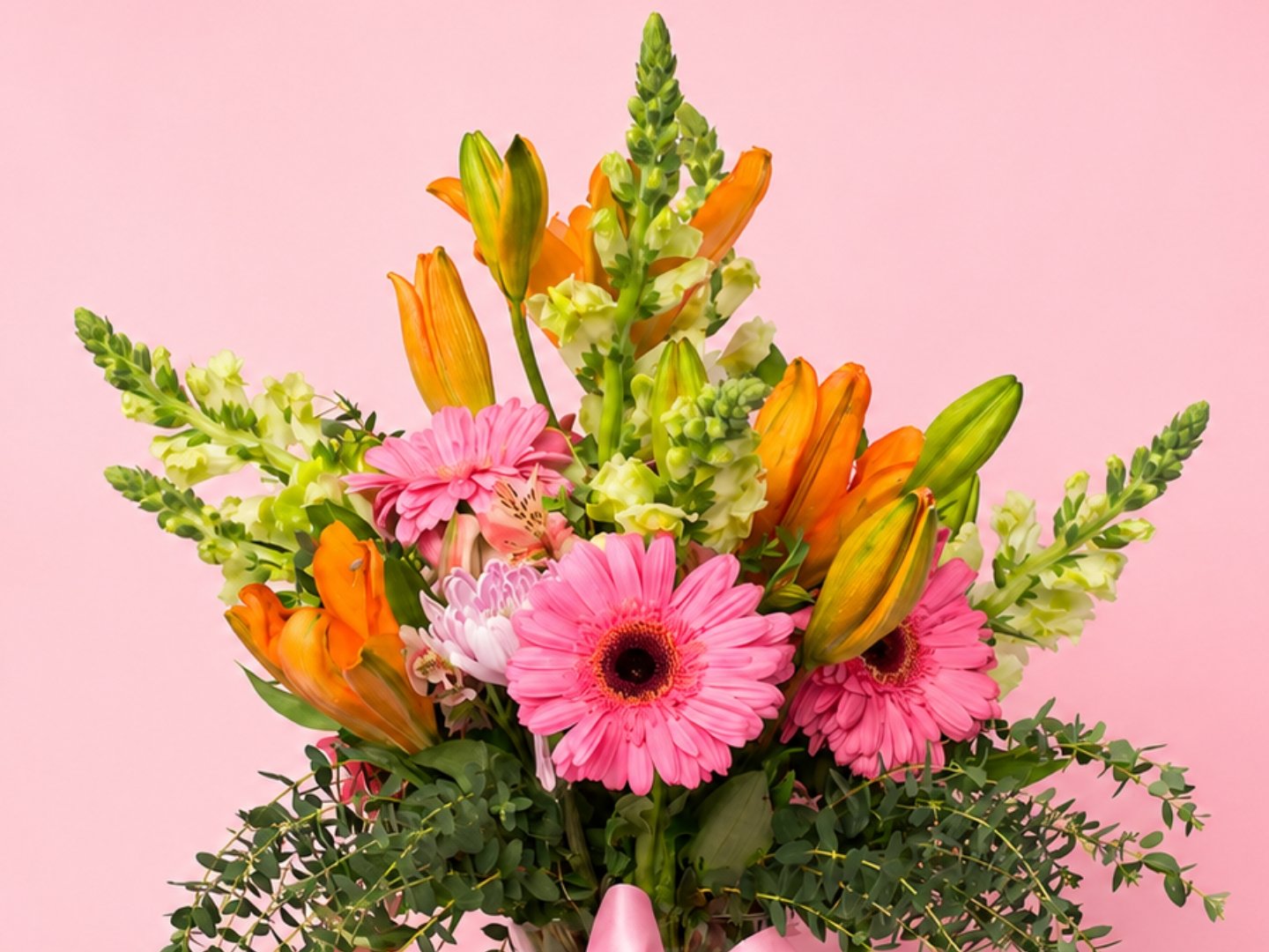 Dulce Primavera 