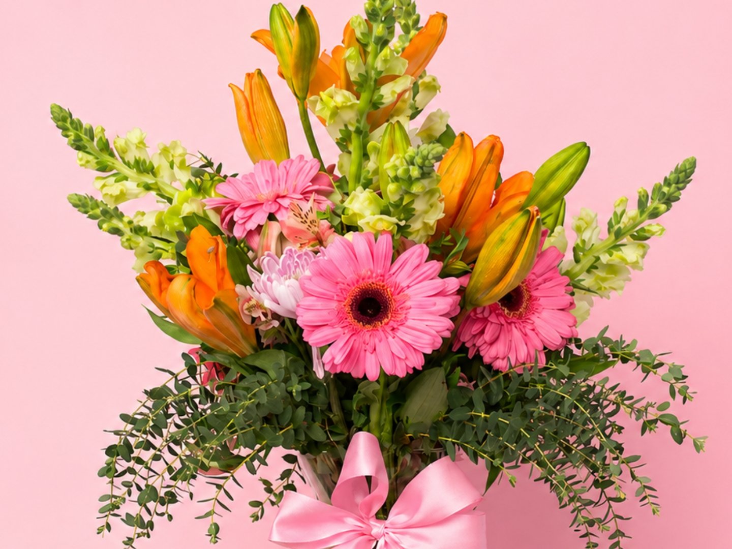 Dulce Primavera 