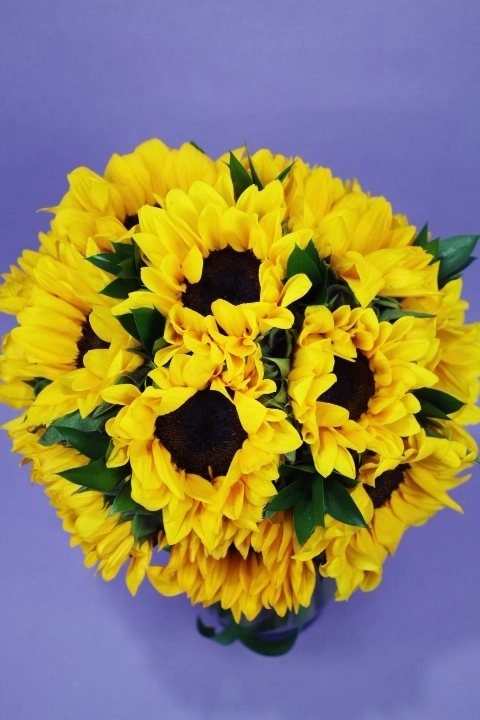 Jarrón con 15 Girasoles