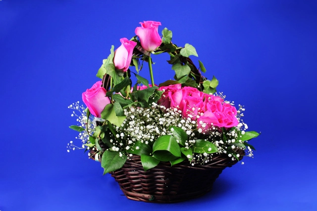 Canasta con 48 Rosas