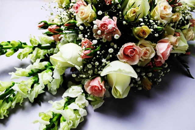 Cubre cajas con Perrito