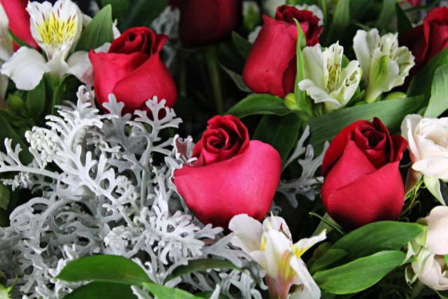 100 Rosas en Jarrón de Cerámica