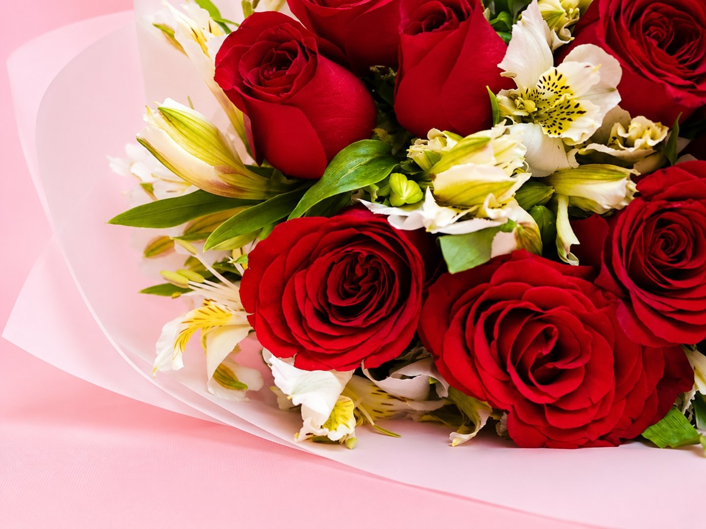 Bouquet 12 Rosas