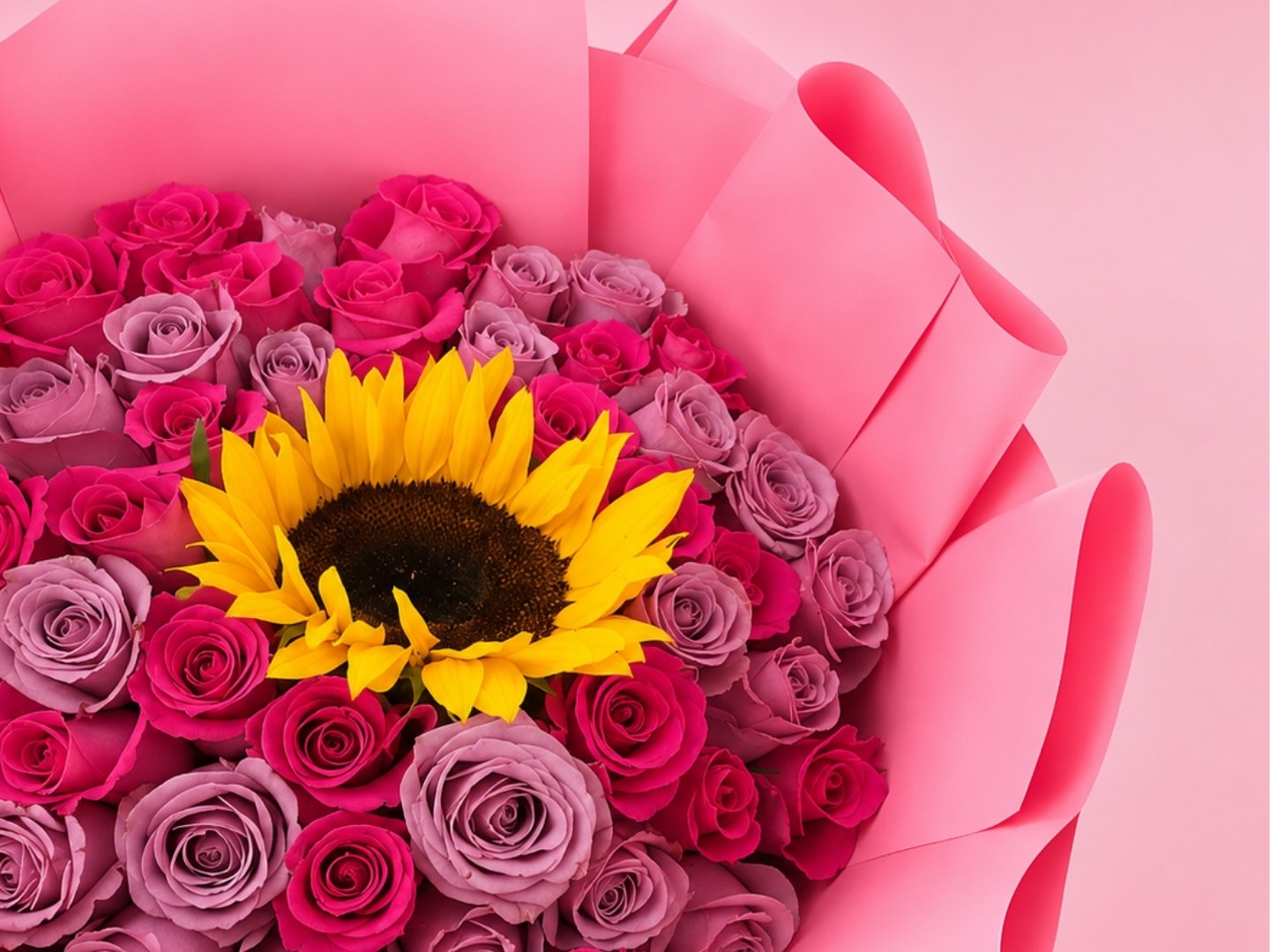 Bouquet de 50 Rosas Combinadas y 1 Girasol.