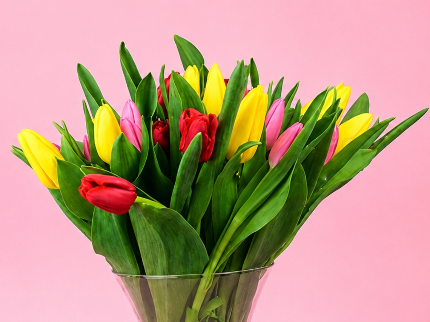 30 Tulipanes Combinados en Jarrón