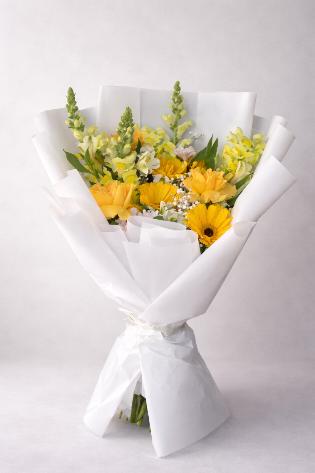 Ramo de Rosas con Gerberas Amarillas y Perrito 